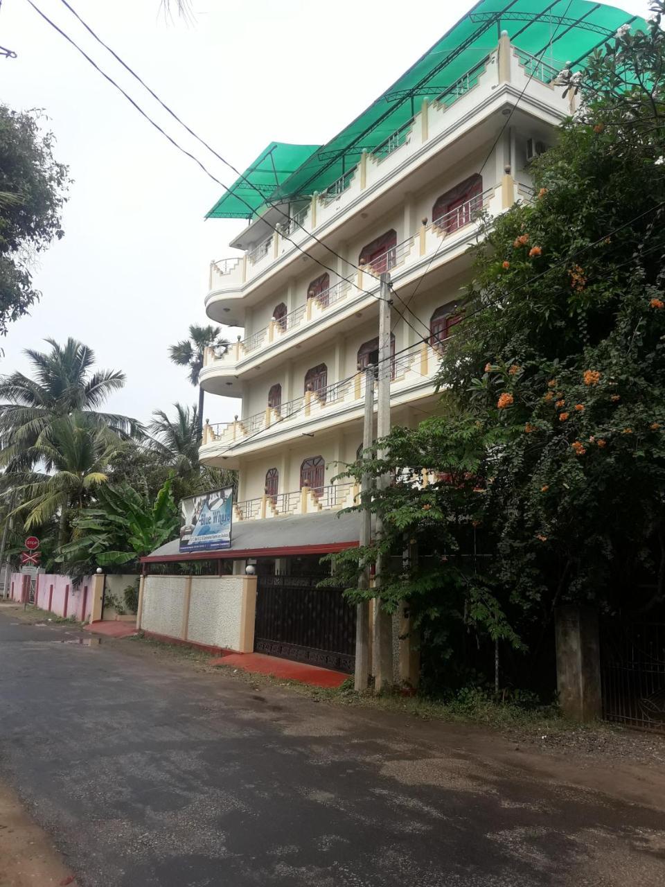ג'פנה Hotel Blue Whale מראה חיצוני תמונה