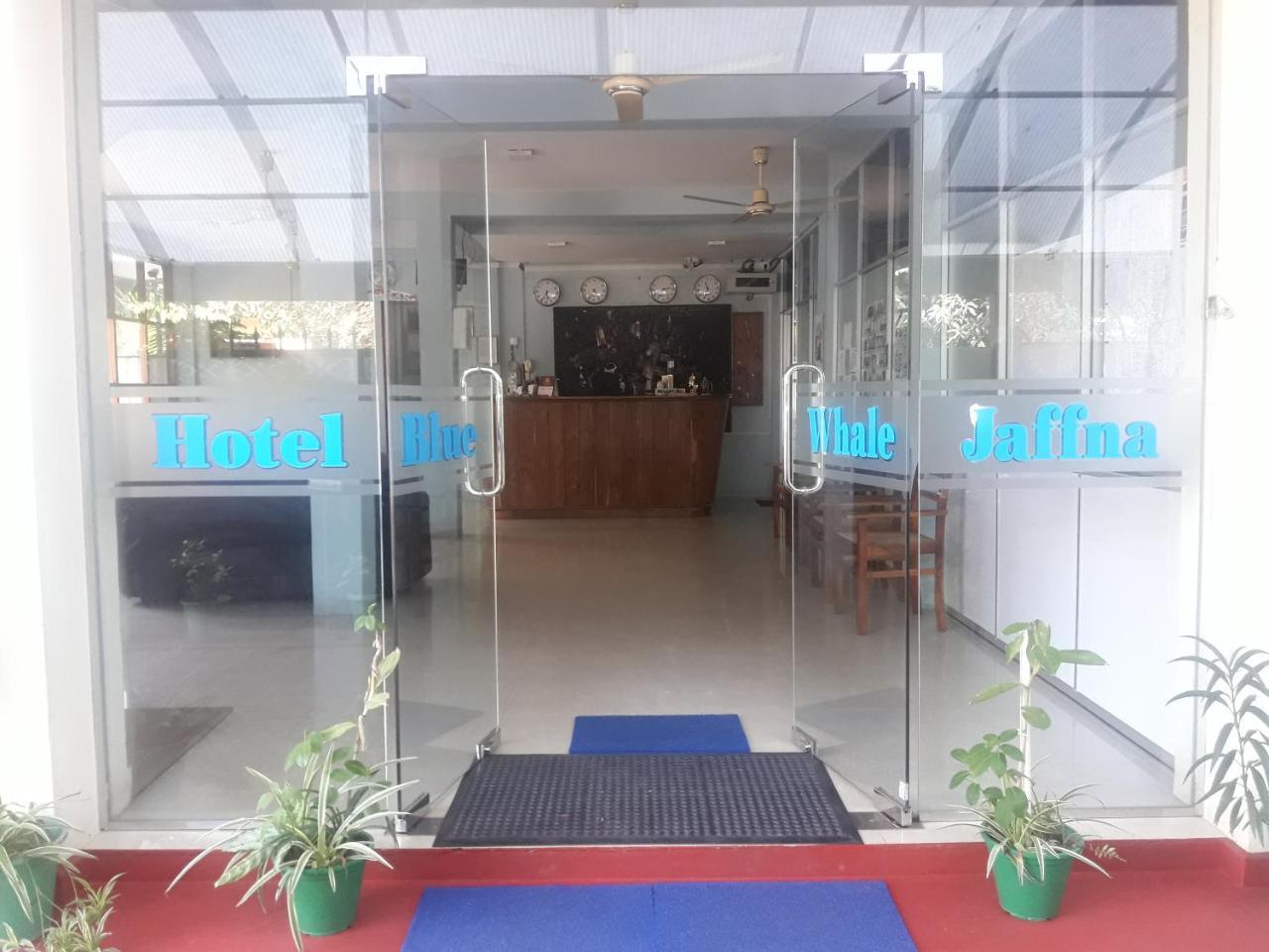 ג'פנה Hotel Blue Whale מראה חיצוני תמונה