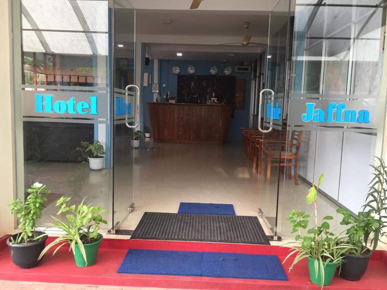 ג'פנה Hotel Blue Whale מראה חיצוני תמונה