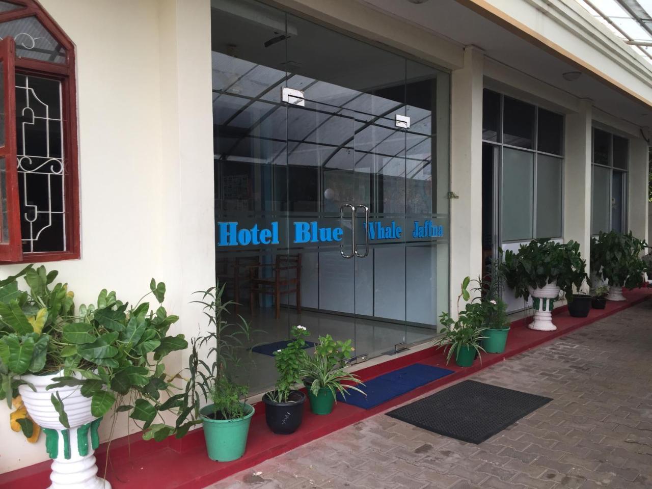 ג'פנה Hotel Blue Whale מראה חיצוני תמונה